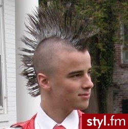 Punk Rock Alternatywne Średnie Fryzury