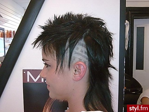 Punk Rock Alternatywne Średnie Fryzury