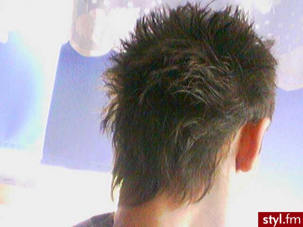 Punk Rock Alternatywne Średnie Fryzury