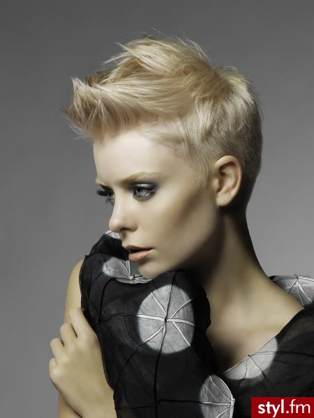 Blond Upięcie Proste Na co dzień Krótkie Fryzury