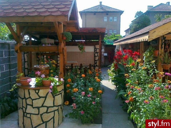 Ogród