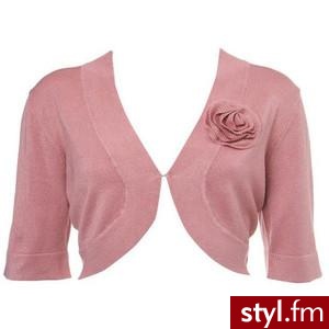Zdjęcie dodane do bazy zdjęć Stylera - Styler