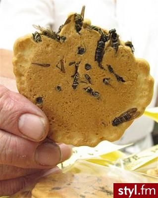 Herbatnik z osą w środku. Na pomysł wpadli mieszkańcy japońskiej wioski Omachi oddalonej o 200 km od Tokio. Jibachi senbei, bo taką nazwę regionalną nadano tej potrawie. - Misz-masz