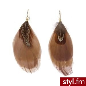 Charlotte Russe - Accessories: Earrings: Tonal Feather Earri... - Polyvore. Pobrano ze strony: http://www.polyvore.com/charlotte_russe_accessories_earrings_tonal/thing?id=4552143 - Pozostałe Dodatki Moda