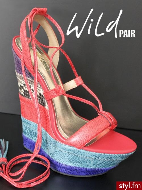 Koturny Buty Moda