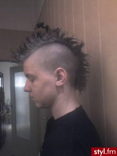 Punk Rock Alternatywne Średnie Fryzury