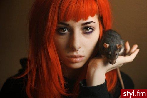 Rude Punk Rock Alternatywne Długie Fryzury