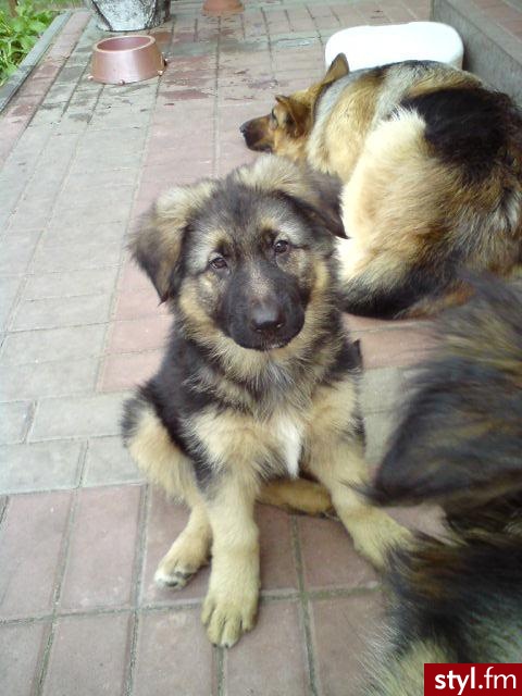 mój zezolek :* - Misz-masz