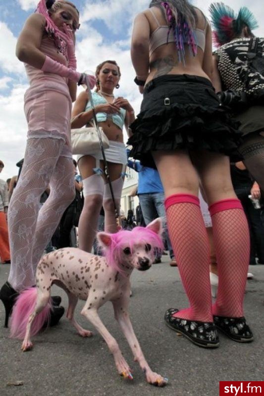 Pozostałe Ciuchy Moda