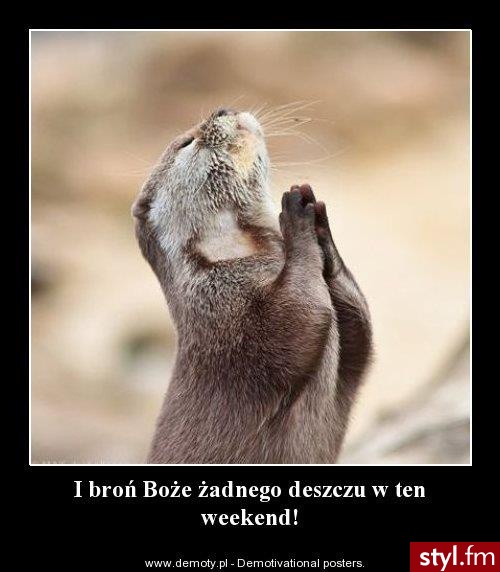 Humor