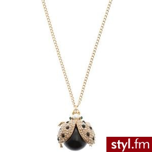 Zdjęcie dodane do bazy zdjęć Stylera - Styler