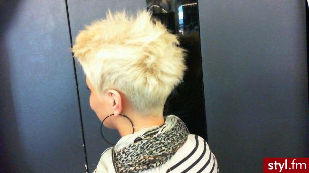 Blond Rozpuszczone Proste Na co dzień Krótkie Fryzury