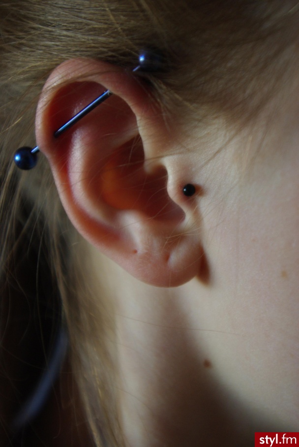 tragus/industrial - Modyfikacje ciała