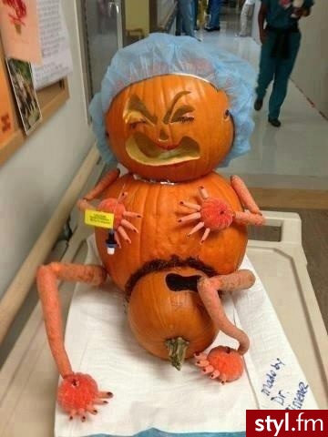 Humor