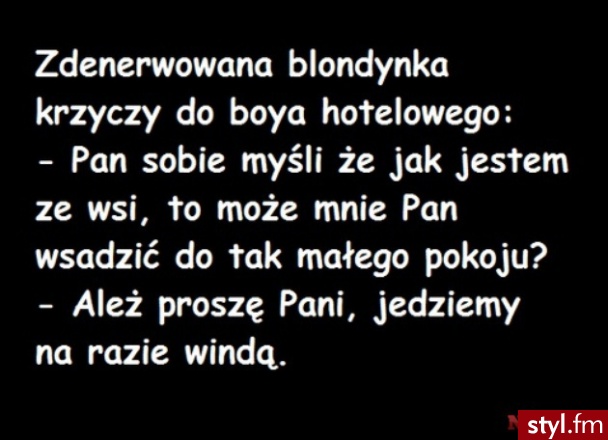 Lol - Humor