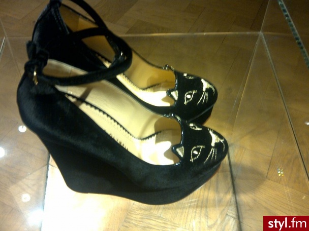 Koturny Buty Moda