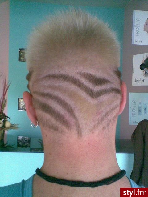 Punk Rock Alternatywne Średnie Fryzury