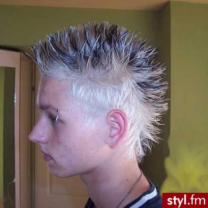 Hm nastepny experyment xD :D:D - Punk Rock Alternatywne Średnie Fryzury