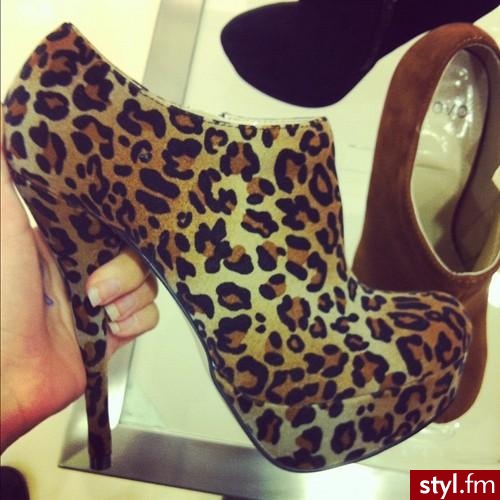 Botki Buty Moda