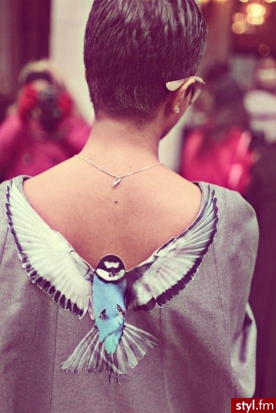 Bluzki Ciuchy Moda
