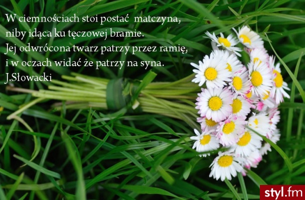 Misz-masz
