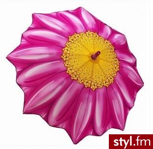 Zdjęcie dodane do bazy zdjęć Stylera - Styler