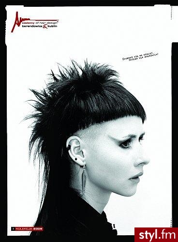 Punk Rock Alternatywne Średnie Fryzury