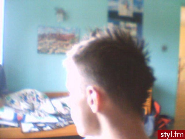 ..;pp - Punk Rock Alternatywne Średnie Fryzury