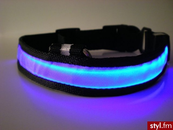 Świecąca obroża dla psa.Najnowszy wynalazek technologii LED–obroża LED pozwoli Ci widzieć Twojego czworonoga z daleka po zapadnięciu zmroku. (do wyboru jeden z 3 trybów świecenia-miganie szybkie, miganie wolne, światło ciągłe).Różne kolory. LEDco.pl - Zwierzaki