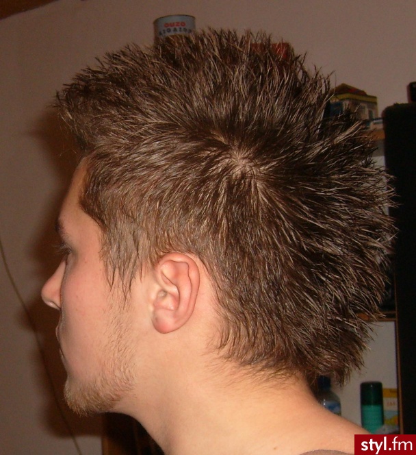 Punk Rock Alternatywne Średnie Fryzury