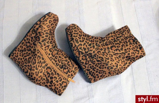 Koturny Buty Moda