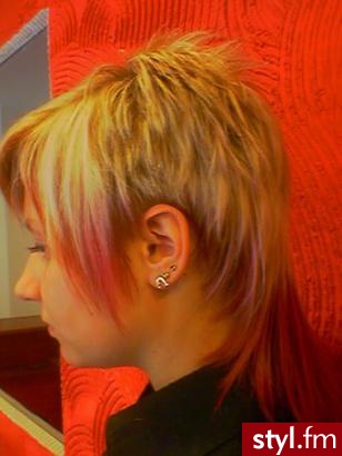 Punk Rock Alternatywne Średnie Fryzury