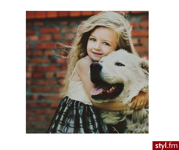 
                     - Styler
