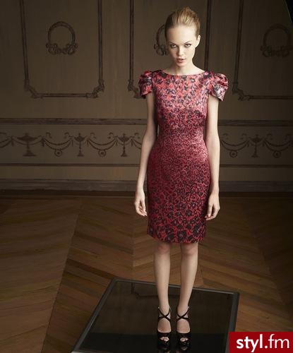 Sukienki Moda