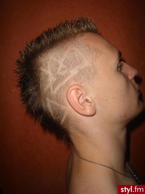 Punk Rock Alternatywne Średnie Fryzury