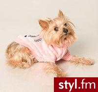BLUZA DLA PSA JUICY COUTURE - Pozostałe Ciuchy Moda