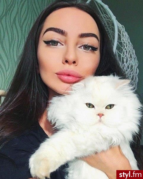Koty Zwierzaki