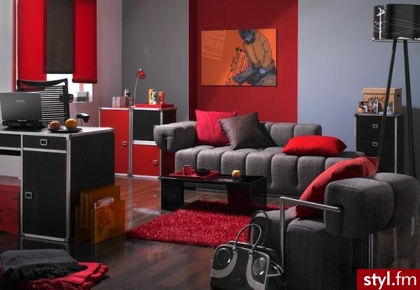Pokój młodzieżowy. :) - Mój pokój Wnętrza