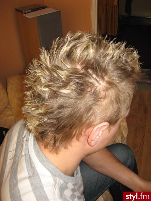Punk Rock Alternatywne Średnie Fryzury