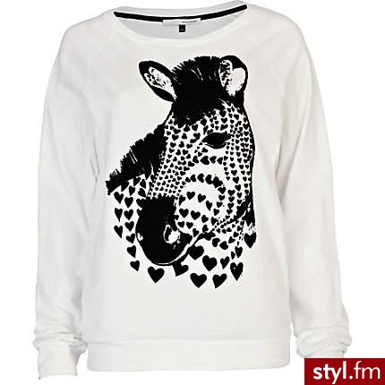 Bluzy Ciuchy Moda