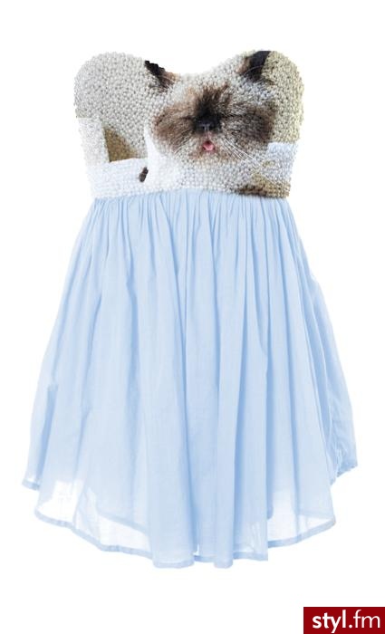 Sukienki Moda