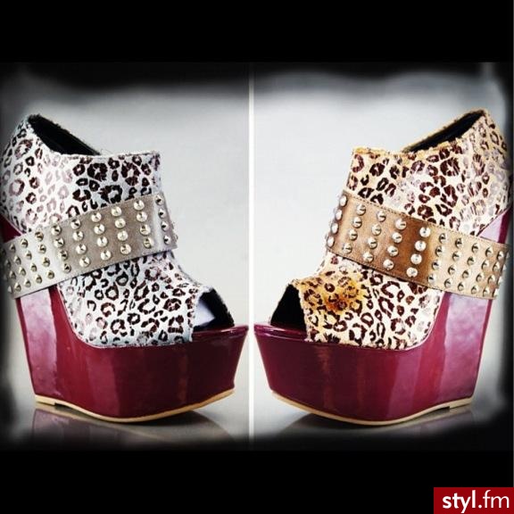 Koturny Buty Moda