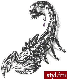 mój znak zodiaku :) - Misz-masz