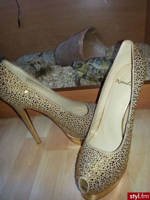 Szpilki Buty Moda