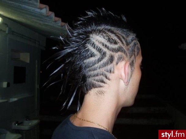 Punk Rock Alternatywne Średnie Fryzury