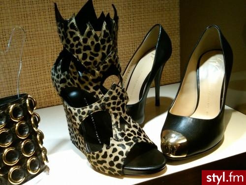Koturny Buty Moda