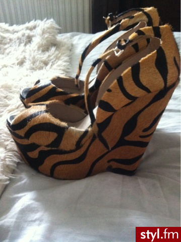 Koturny Buty Moda
