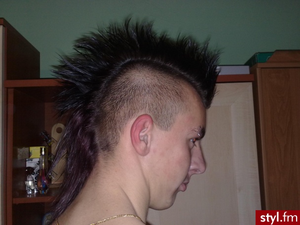 Punk Rock Alternatywne Średnie Fryzury