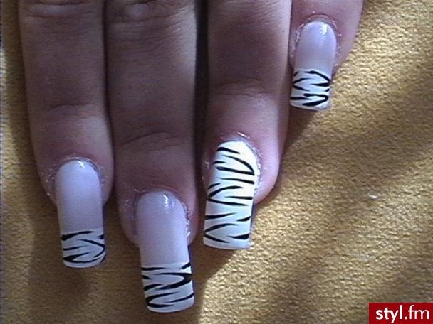 zebra - Paznokcie