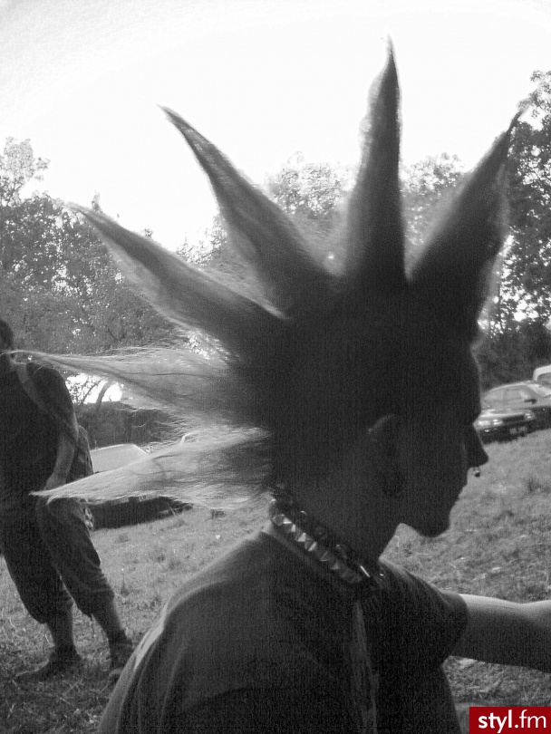 irokez. to nie jest doklejane ani fotoszop xD - Punk Rock Alternatywne Średnie Fryzury